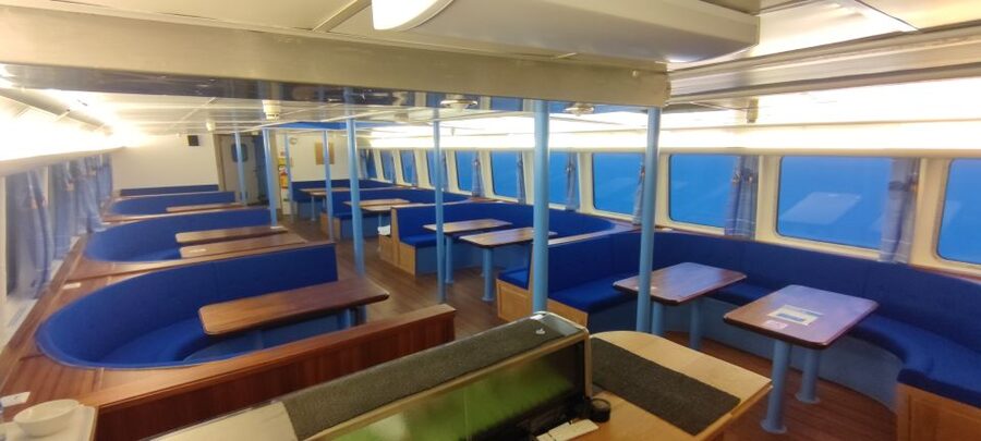 Reykjavik: Whale & Marine Adventure Tour - Watching from the heated cabin or open deck