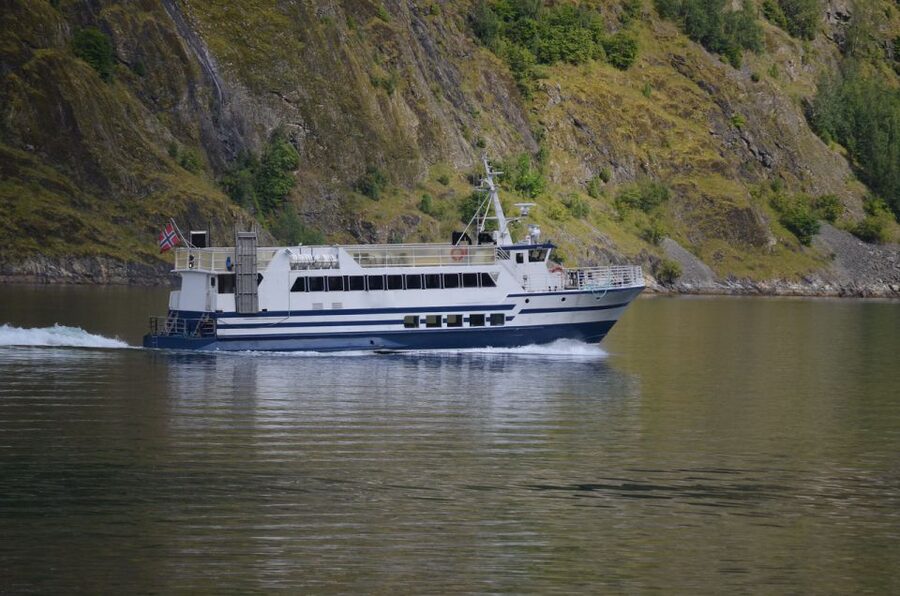 Reykjavik: Whale & Marine Adventure Tour - What a three-hour search really feels like