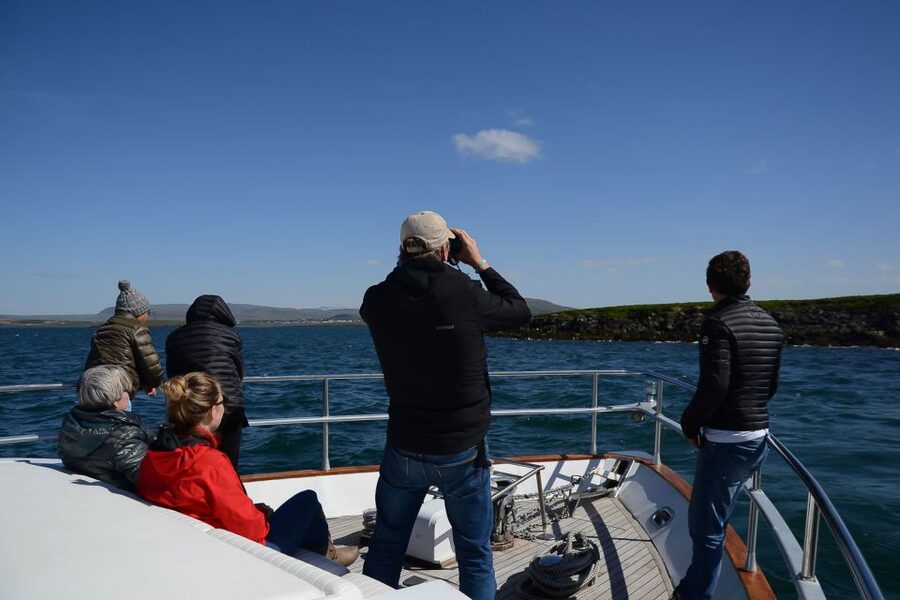 Reykjavik: Whale Watching and Dolphin Watching Yacht Cruise - Finding a good viewing place on MY Harpa or MY Amelia Rose