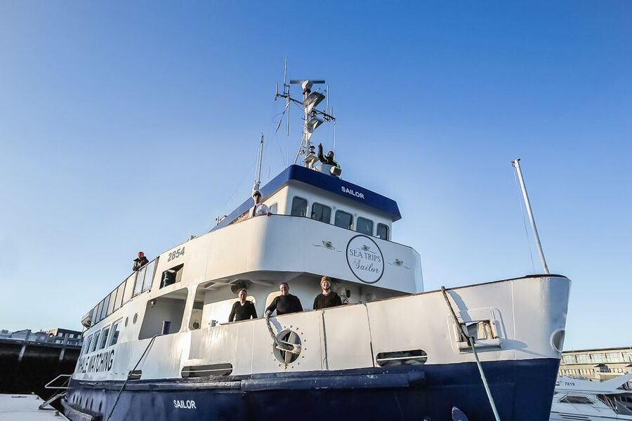 Reykjavík: Whale Watching and Marine Life Cruise - Coastline views and smaller sea life