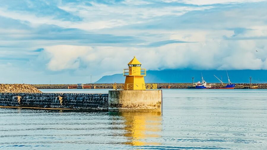 Reykjavík: Whale Watching and Marine Life Cruise - What the onboard facilities add to the $87 price