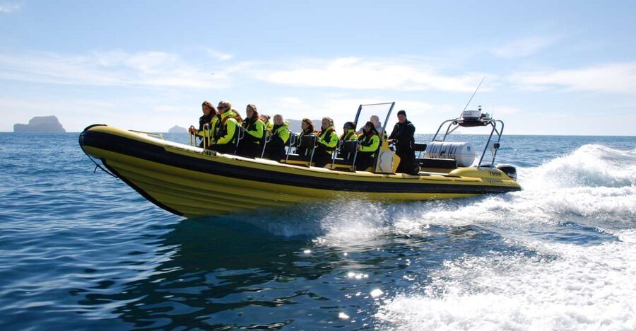 Reykjavik: Whale Watching by RIB Speedboat - Why the RIB changes whale watching in Reykjavík