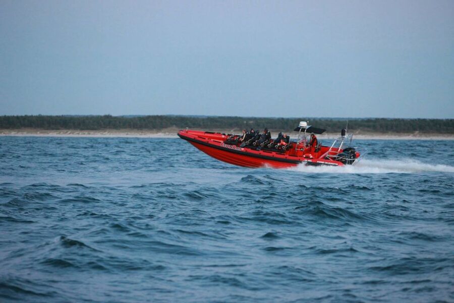 Reykjavik: Whale Watching by RIB Speedboat - Guides, captains, and the quality of the outing