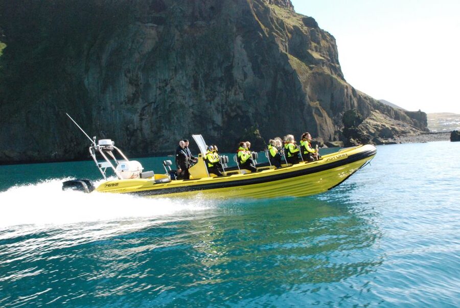 Reykjavik: Whale Watching by RIB Speedboat - Weather, cancellations, and the backup plan