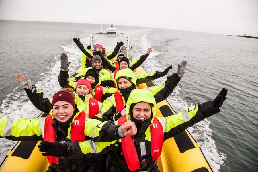 Reykjavik: Whale Watching by RIB Speedboat - Check-in at Reykjavík’s Old Harbor