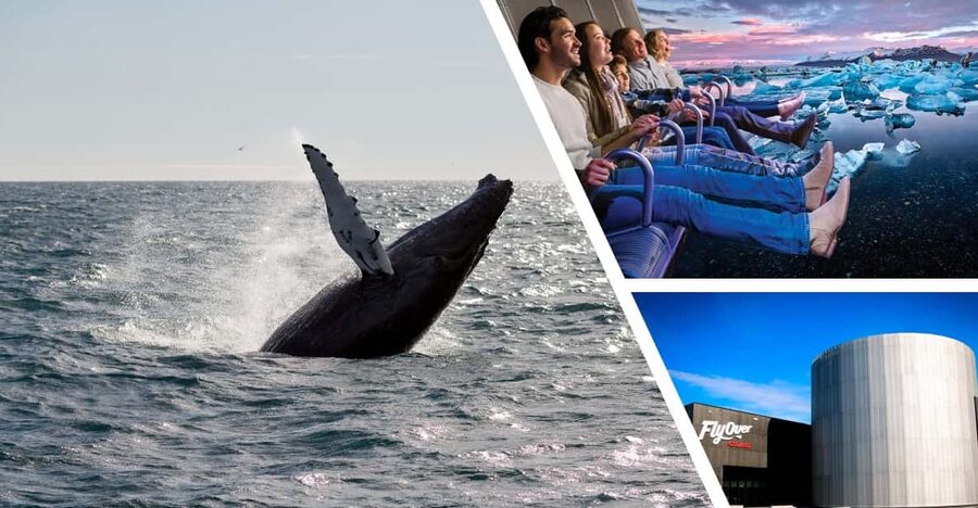 Reykjavík: Whale Watching Cruise and FlyOver Combo Ticket - The biggest practical issue is the schedule