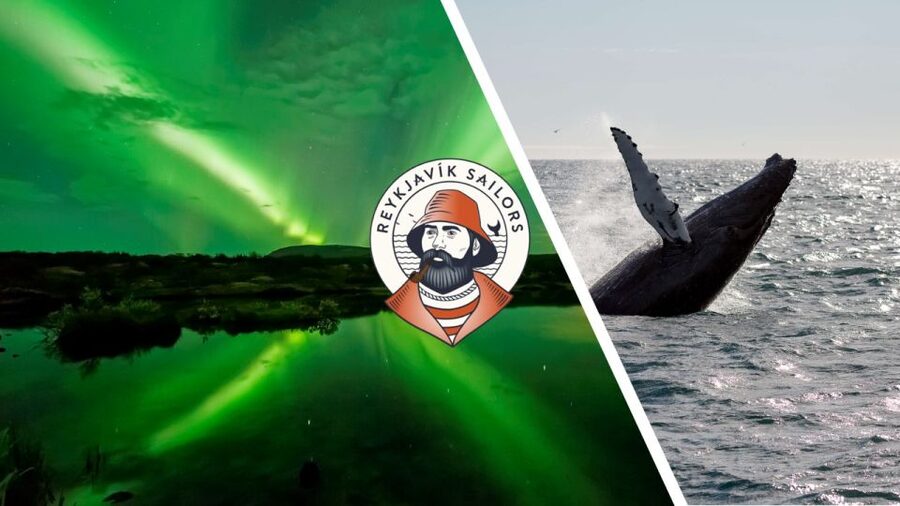 Reykjavik: Whale Watching & Northern Lights Combo Cruise - Two Iceland highlights, linked by the sea