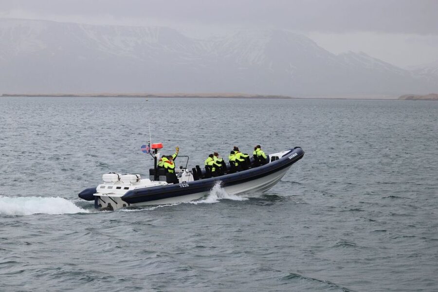 Reykjavik: Whale Watching Tour by RIB Boat - Minke whales, humpbacks, dolphins, and porpoises