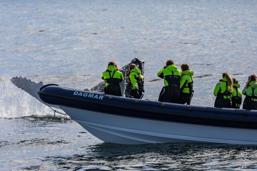 Reykjavik: Whale Watching Tour by RIB Boat - From Ægisgarður 5E to open water