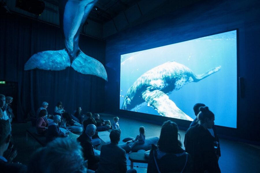 Reykjavik: Whale Watching Tour, Whales of Iceland Exhibition - How good is the $123 value?