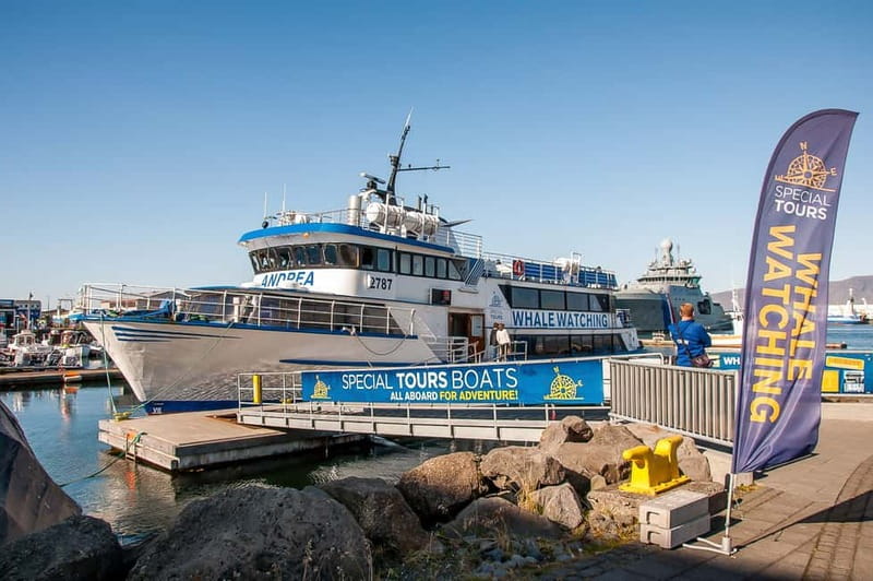 Reykjavik: Whale Watching Tour with Expert Guide - From Reykjavík’s Old Harbour to Faxaflói Bay