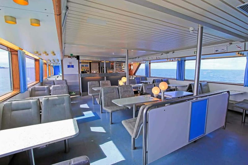 Reykjavik: Whale Watching Tour with Expert Guide - Who will get the most from this trip?