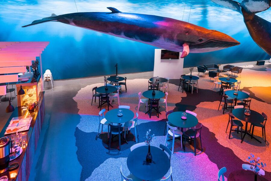 Reykjavik: Whales of Iceland Museum Entrance Ticket - Should you book Whales of Iceland?