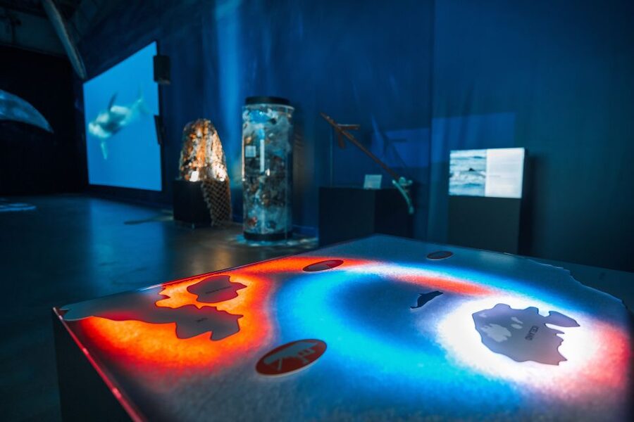 Reykjavik: Whales of Iceland Museum Entrance Ticket - Walking beneath Iceland’s whale giants