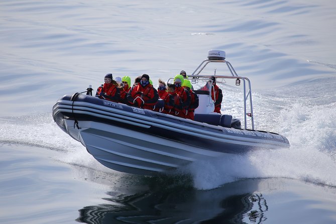 RIB boat express: Whales, Eyjafjord and Akureyri - The guide and commentary can shape the day