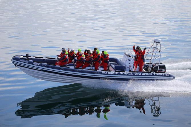 RIB Whale Watching Small-Group Boat Tour from Reykjavik - Searching Faxaflói Bay for whales and dolphins
