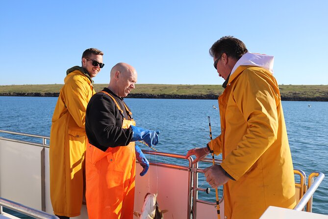 Sea Fishing Experience from Reykjavik - Key points at a glance