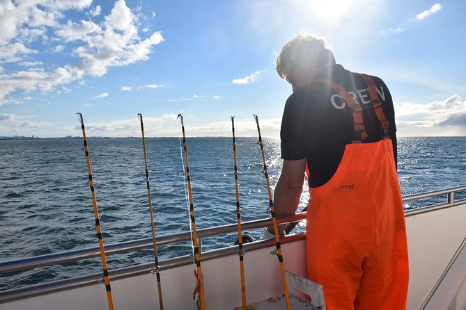 Sea Fishing Experience from Reykjavik - Summer puffins and possible whale sightings
