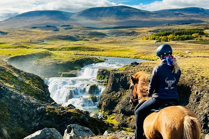 Short Riding Tour with Eye-Catching Photos at Waterfall - Why this short ride works so well in Iceland