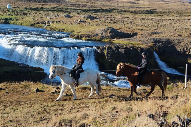 Short Riding Tour with Eye-Catching Photos at Waterfall - Starting at Hestasport Reception in Varmahlíð