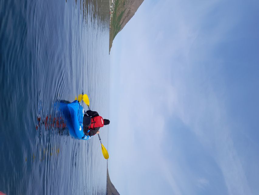 Siglufjörður / Siglufjordur: Guided kayak tour. - Getting ready at the blue and orange container