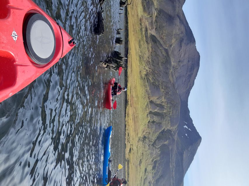 Siglufjörður / Siglufjordur: Guided kayak tour. - The shipwreck and Siglufjörður’s working waterfront