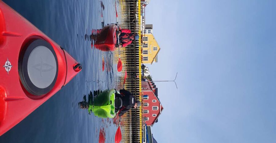 Siglufjörður / Siglufjordur: Guided kayak tour. - Selvíkurnef lighthouse from the water