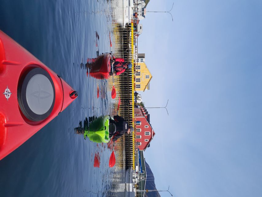 Siglufjörður / Siglufjordur: Guided kayak tour. - Who should book this Sigló paddle