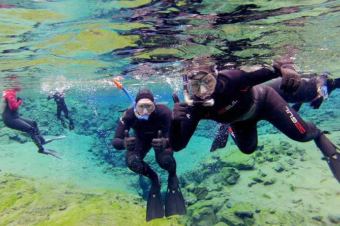 Silfra Drysuit Snorkeling with Free Photos - Meet on Location - Meeting at Thingvellir National Park
