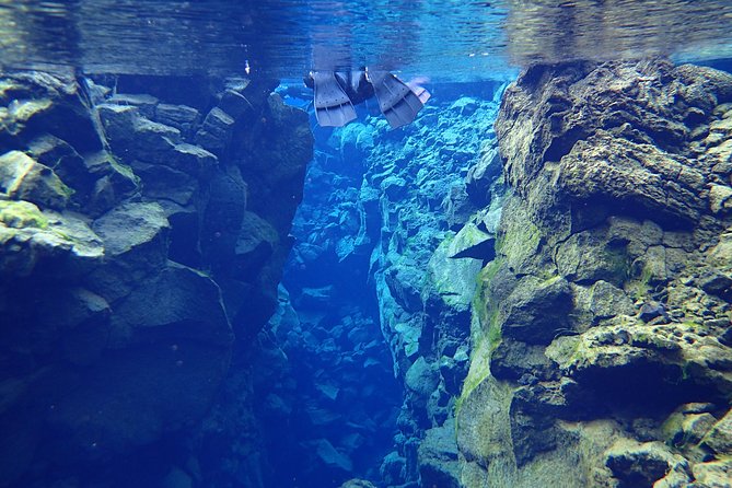 Silfra Fissure Snorkeling From Reykjavík - Free Underwater Photos - The waiting problem