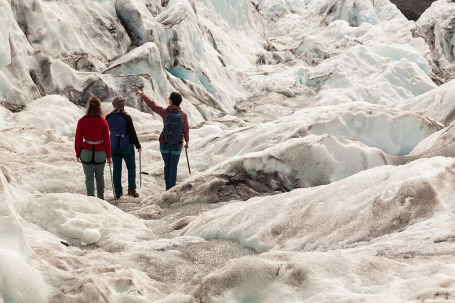 Skaftafell: Extra-Small Group Glacier Hike - Up to two hours among blue ice and crevasses