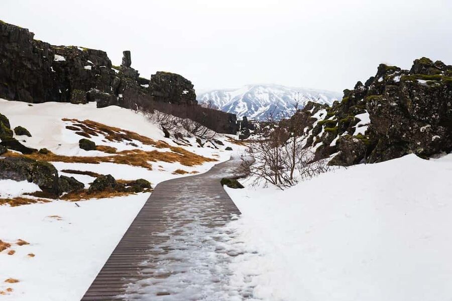 Skarfabakki: Golden Circle Small-Group Full-day Tour - Geysir and the force beneath Iceland