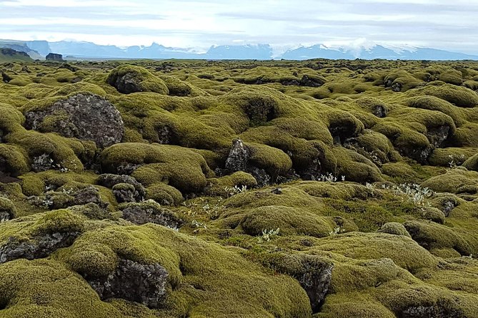 Small Group Day Tour to Lakagigar volcano by Super Jeep from Klaustur - Fagrifoss, a short stop with a strong payoff