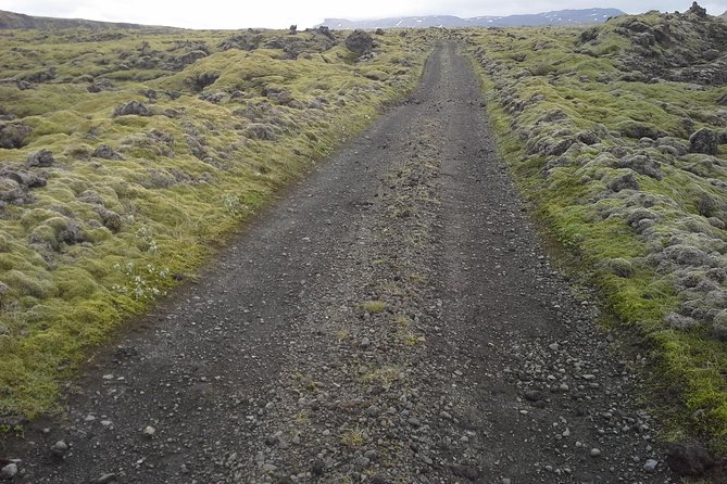 Small Group Day Tour to Lakagigar volcano by Super Jeep from Klaustur - Looking down into Fjaðrárgljúfur canyon