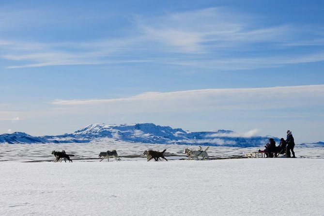 Small Group Husky Sledding Tour from Capital Region - Key points at a glance