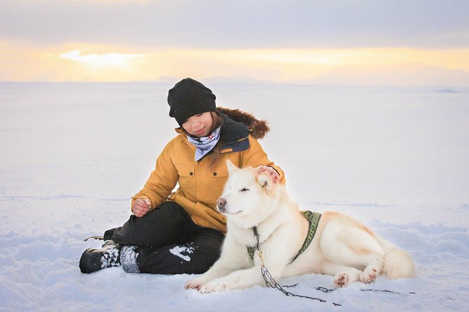 Small Group Husky Sledding Tour from Capital Region - The 35-minute ride: sled or wheeled cart