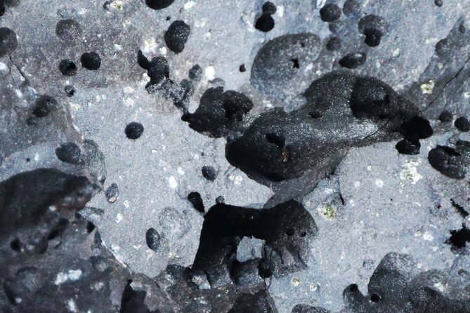 Small Group Volcano Hike with a Professional Geologist - Is the $220.19 price fair?