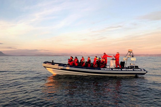 Small-group Whale Watching in the Midnight Sun from Reykjavík - Harpa and the Old Harbour from the water