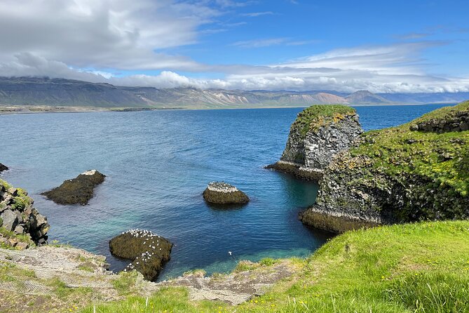 Snæfellsnes in Spanish with lunch on a farm Minibus - Buðir and its black church