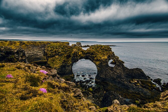 Snæfellsnes in Spanish with lunch on a farm Minibus - The Arnarstapi to Hellnar coastal walk