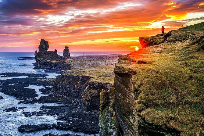 Snaefellsnes National Park and Natural Wonders from Reykjavik - Ytri Tunga, seals beside a golden beach