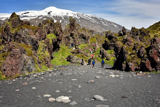 Snaefellsnes NP Small-Group Tour with Local Lunch from Reykjavik - What the guide adds to the day
