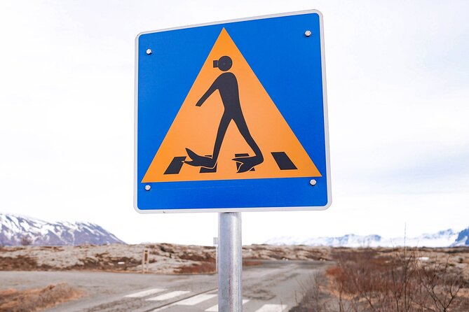 Snorkel the Silfra Fissure-Meet on Location (Free Photos & Cocoa) - Who will enjoy Silfra most?