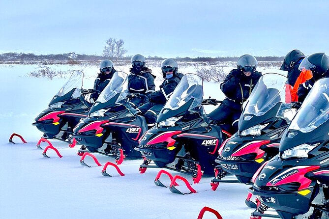 Snowmobile Tour by Lake Mývatn - Starting at the farm near Reykjahlíð