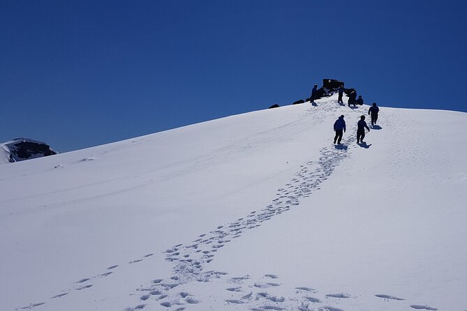 Snowmobile tour on Vatnajökull - Who should book this glacier ride?