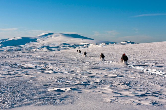 South Coast and Glacier Snowmobiling Day Trip from Reykjavik - What the guide and driver add to the day