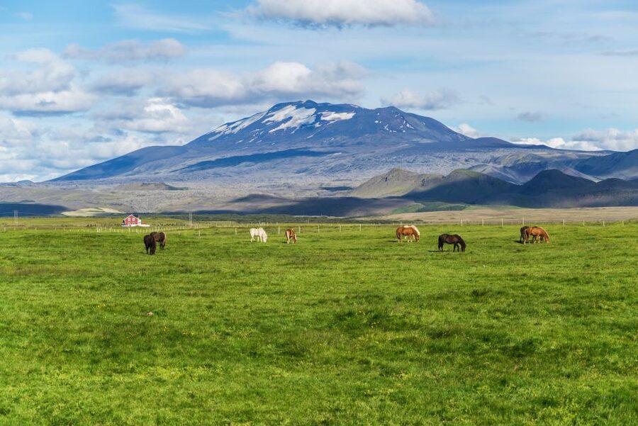South Coast Classic: Full-Day Tour from Reykjavik - Sólheimajökull: a glacier without a glacier hike