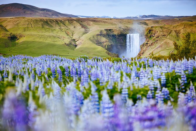 South Coast Iceland from Reykjavik with Guide & Touchscreen Audio - Reynisfjara Beach: dramatic basalt and real danger