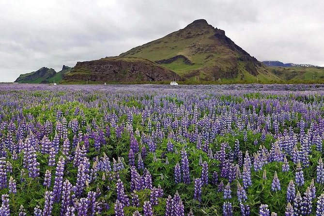 South Coast. Private Day Tour from Reykjavik - Why the South Coast makes a strong full-day outing
