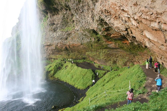 South Coast, Waterfalls and Black Beach Tour from Reykjavik - Solheimajokull: a close look at moving ice